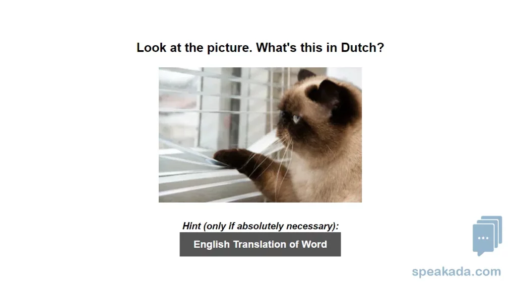 Dutch 500 Picture Words example flashcard