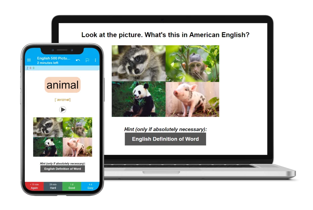English vocabulary flashcards on laptop
