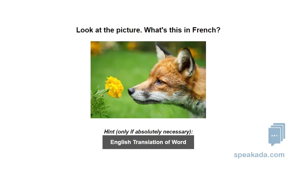 French 500 Picture Words — front of card showing image