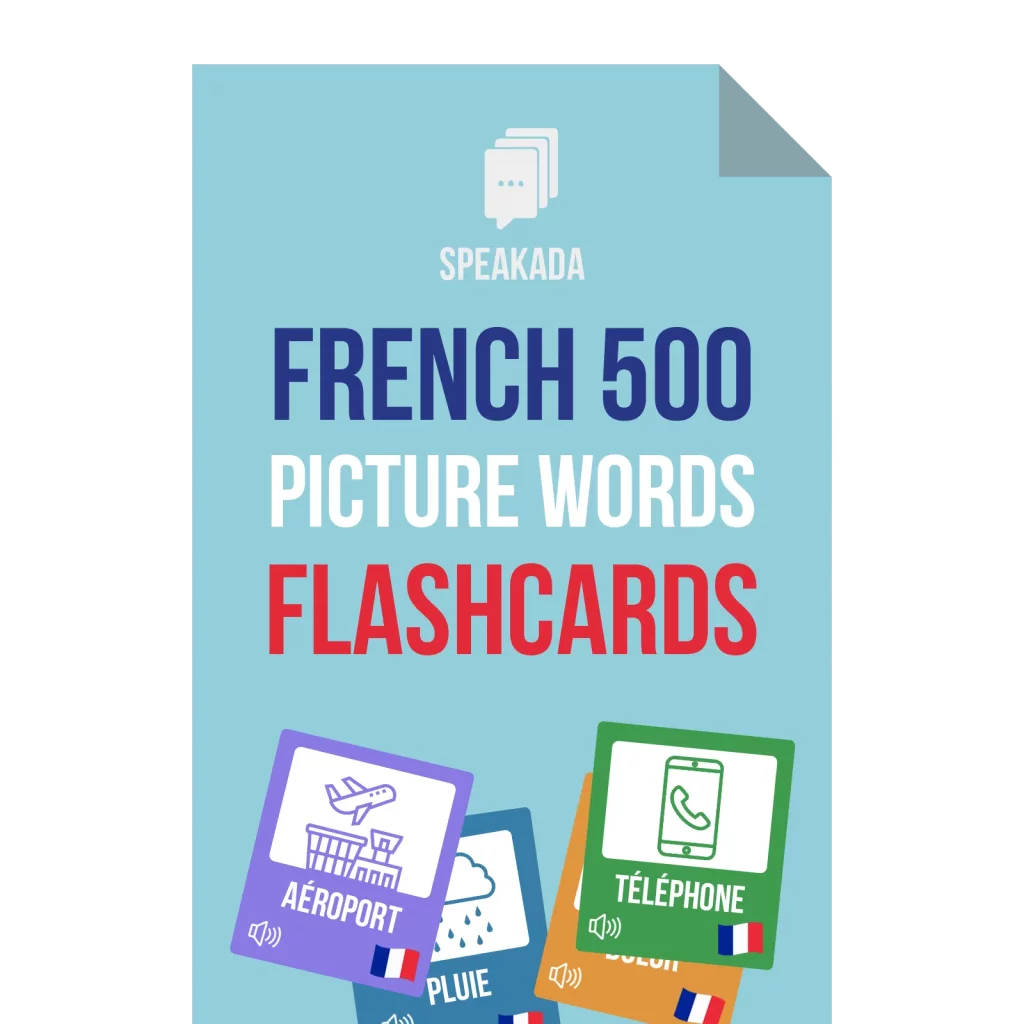 French 500 Picture Words Flashcards