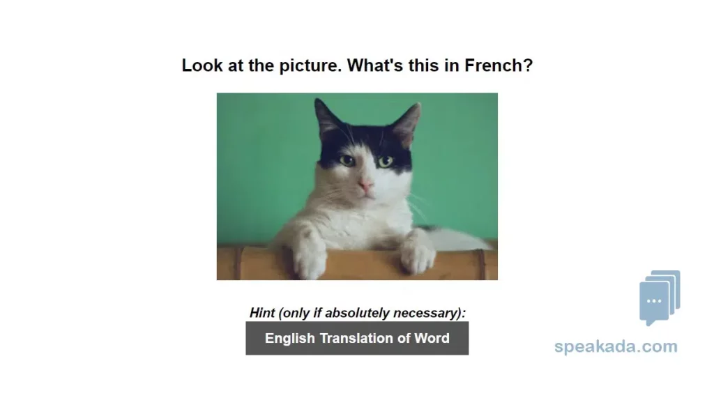 500 Picture Words