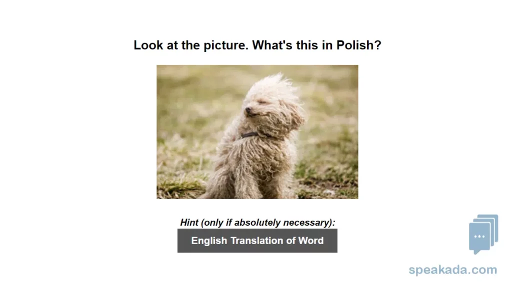 Polish 500 Picture Words example flashcard
