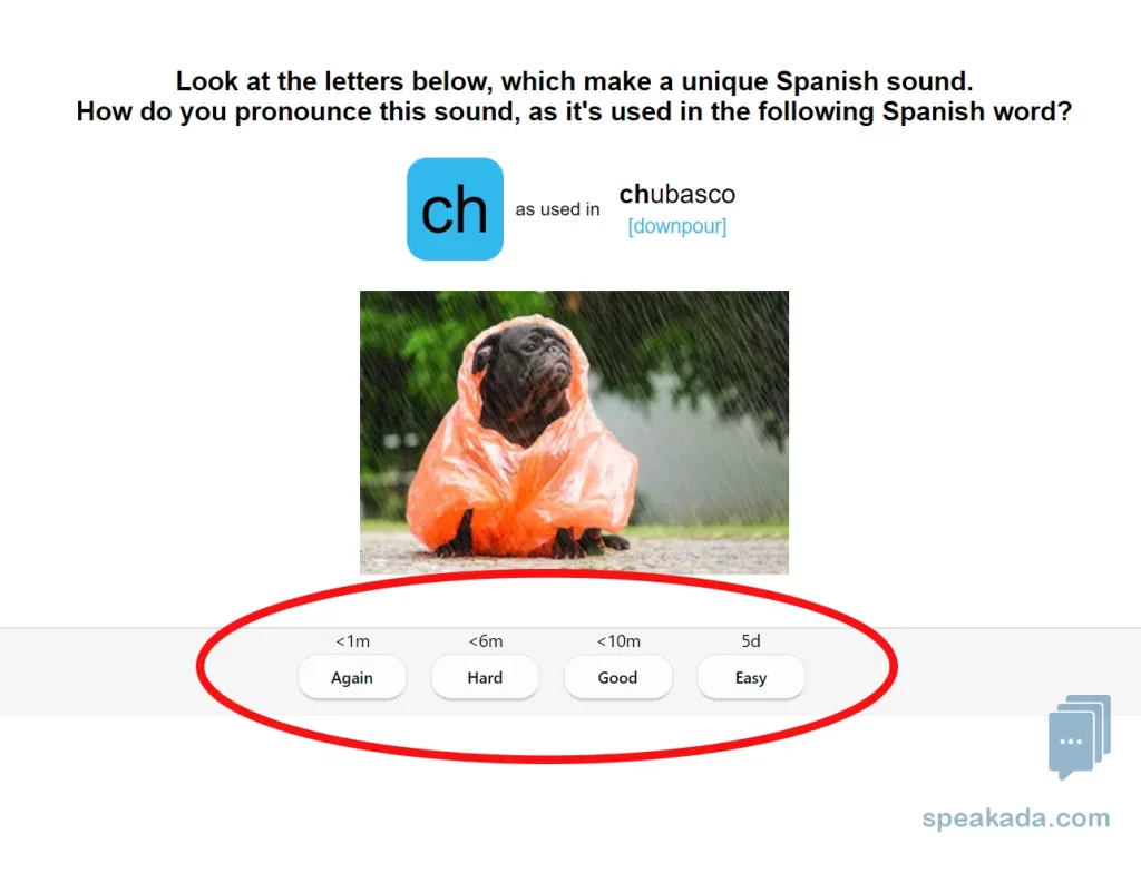 Anki spaced repetition rating buttons