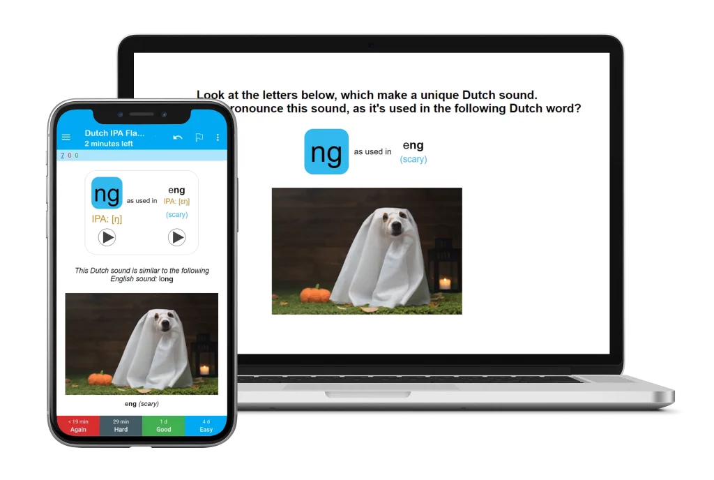 Dutch IPA Flashcards on Anki