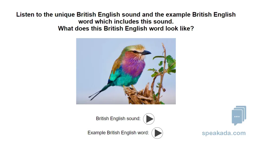High-quality audio pronunciation flashcard