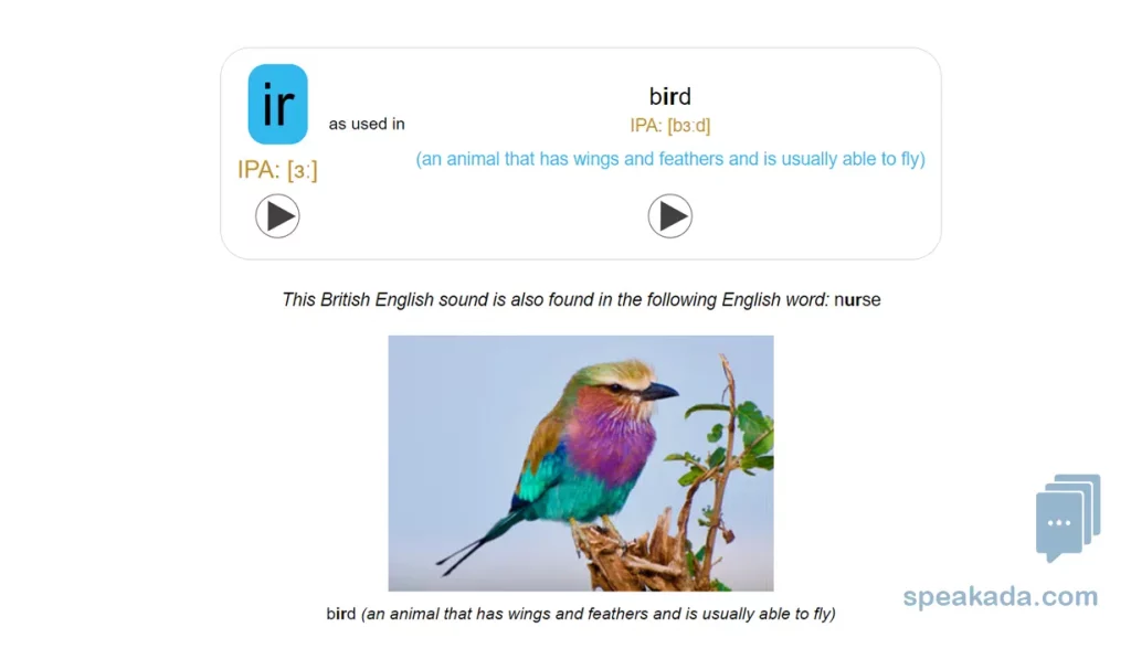 Knowledge test — identify the IPA sound