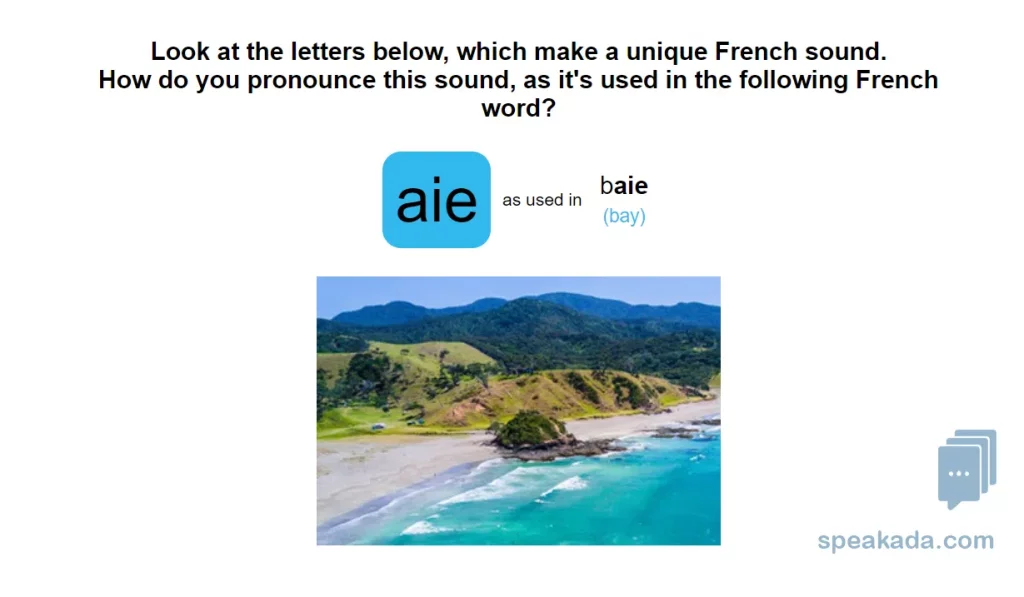 Back of transcription card with correct answer
