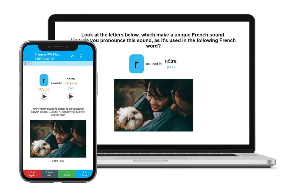 French IPA Flashcards on Anki