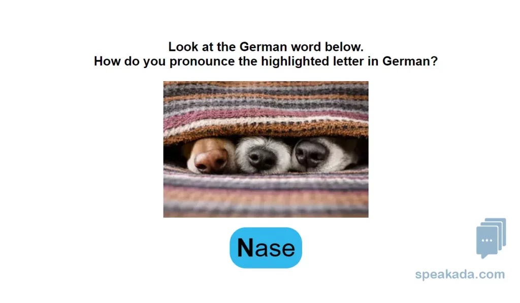 Flashcard showing the phonetic notation in context