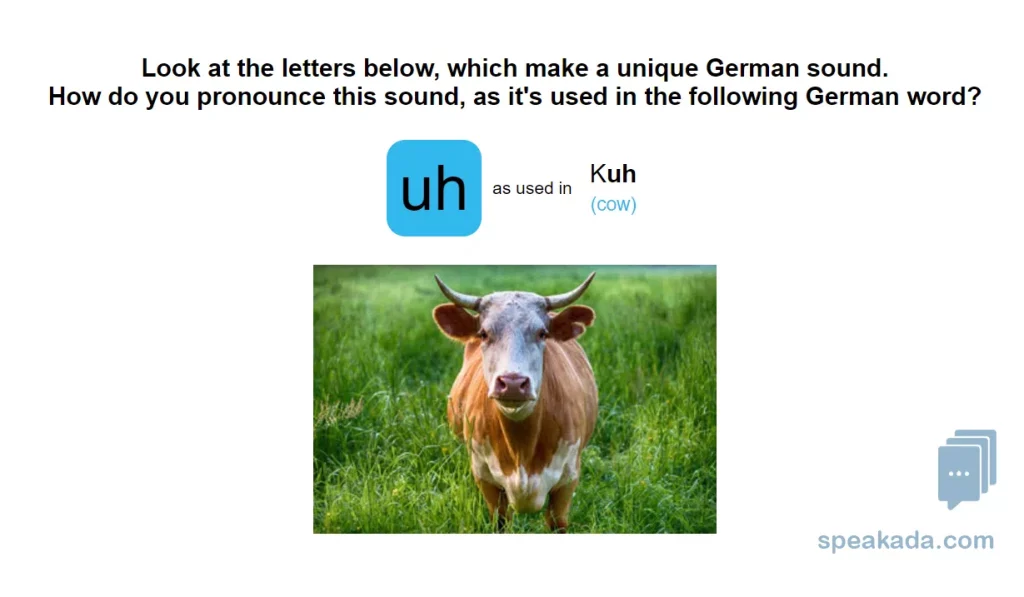 Example of German IPA flashcard