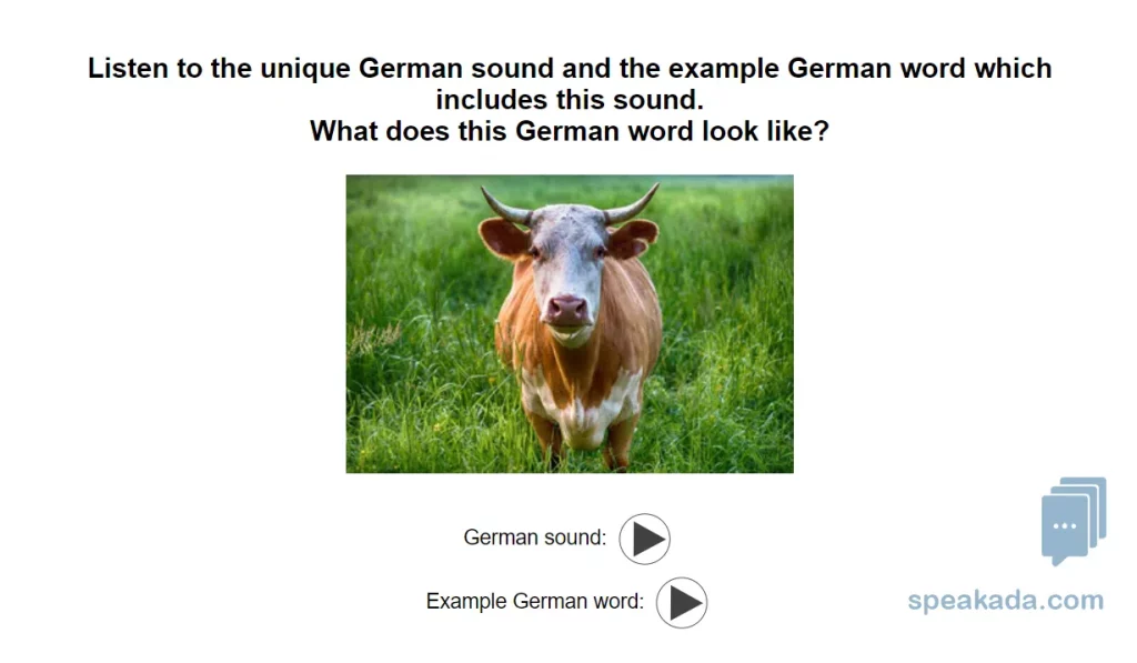 Back of flashcard — articulation guide and example words