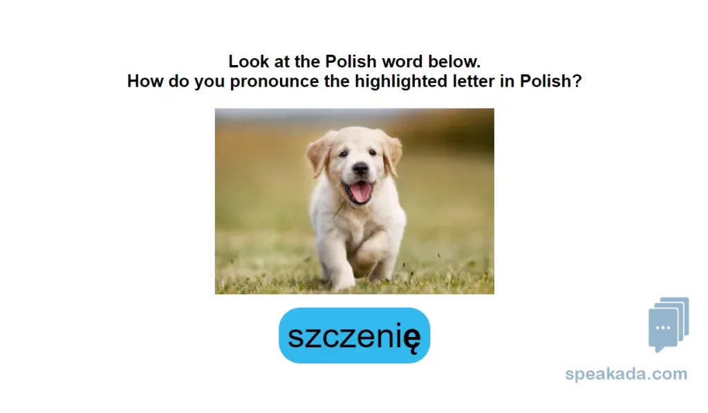 Back of context card showing full phonetic detail