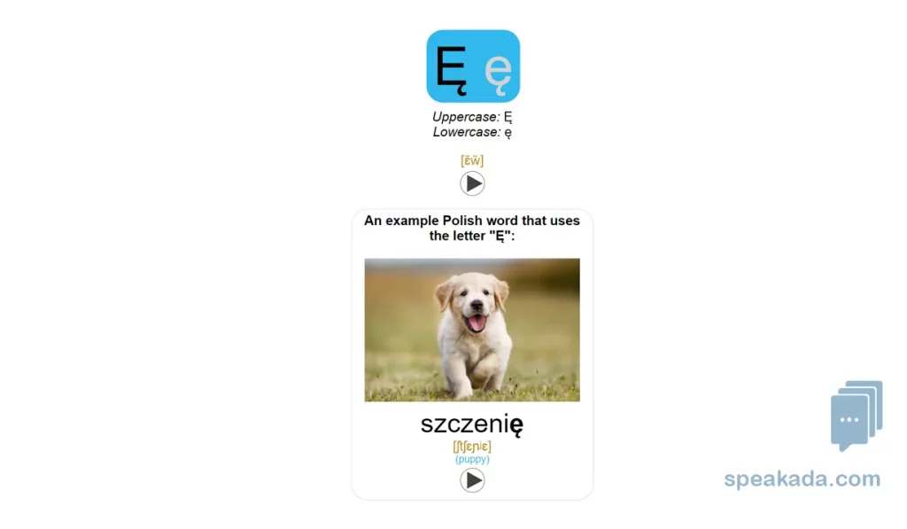 Completed card view with IPA and word breakdown
