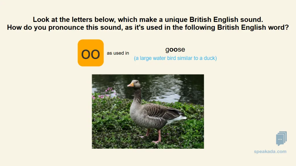 Front of flashcard — IPA symbol with English word example and image