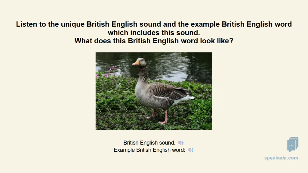 Card type 2 variant — another listening and recognition exercise