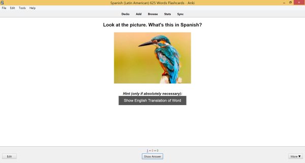 625 Spanish Words Flashcards For Fluent Forever 625 | SPEAKADA
