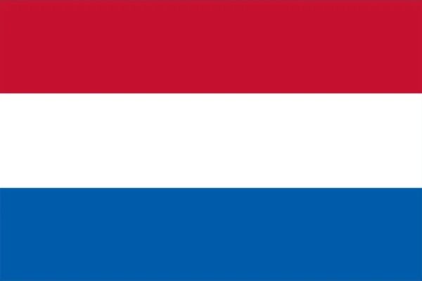 2000 Most Common Dutch Words Anki Flashcards | SPEAKADA